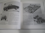 LIBRO AUTO INNCENTI (2)